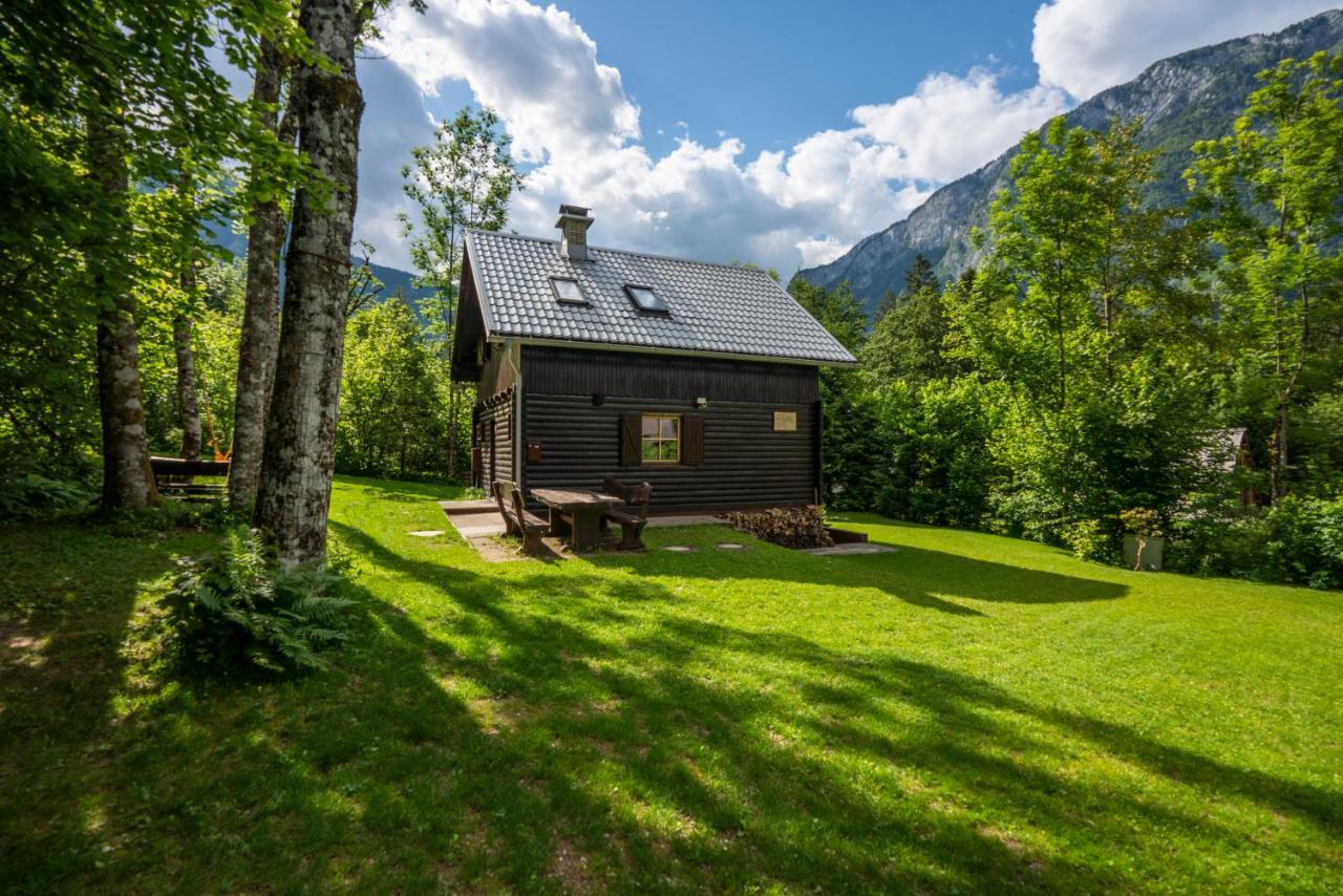 Chalet Tisa Bohinj Ngoại thất bức ảnh